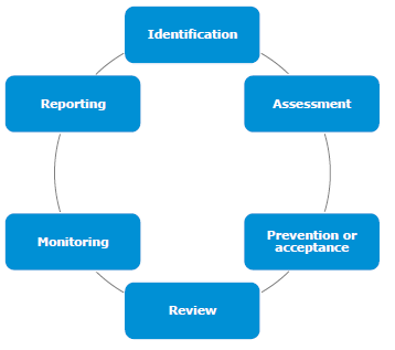 GPW risk management process